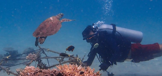 Orange Business y Tēnaka firman un acuerdo para la restauración de arrecifes de coral