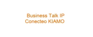 business_talk_guide_conecteo_kiamo-1.png 