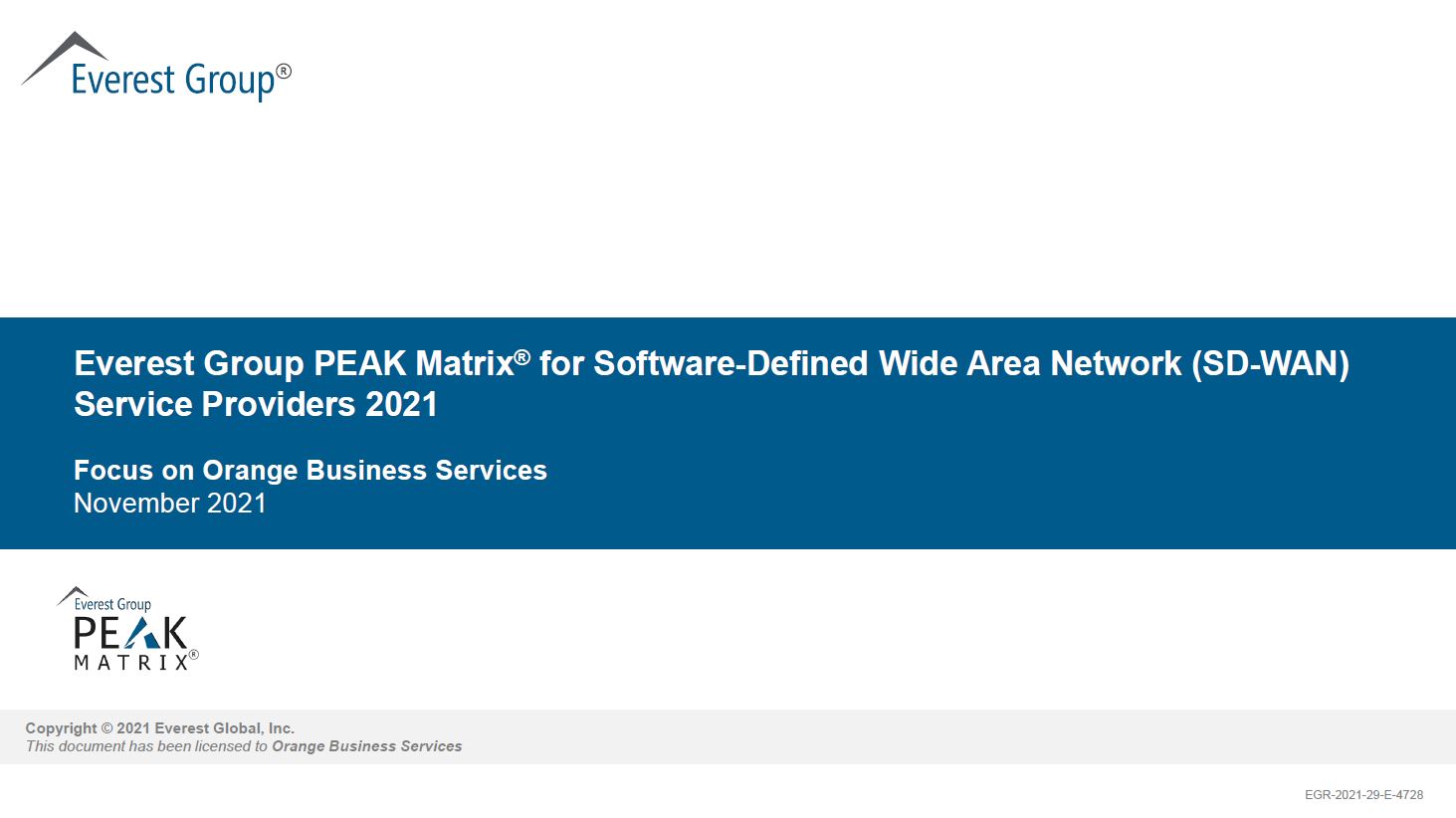 Everest Group PEAK Matrix for Software-Defined Wide Area Network (SD-WAN) Service Providers 2021