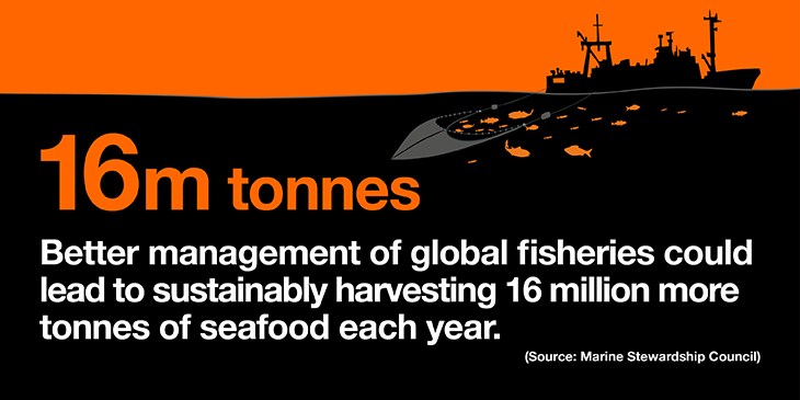 Better management of fisheries  can lead to better harvesting