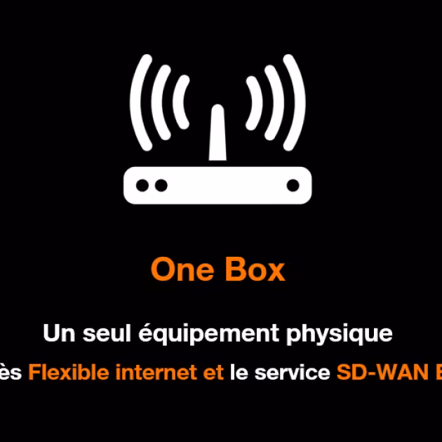 One Box sdwan