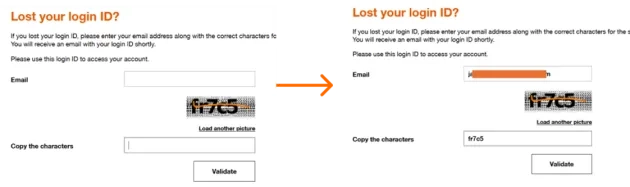 vibe_authentication_insert_your_email