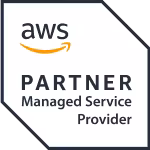 Managed Service Provider