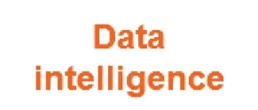data intelligence