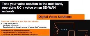 digital-voice-infographic2