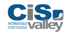 BVPN CIS Logo