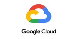 BVPN Google Logo